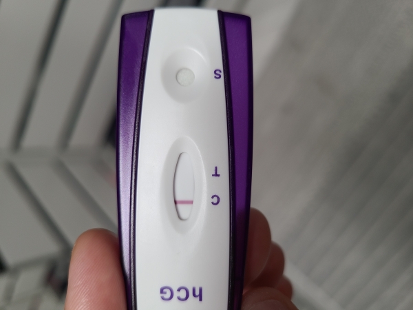 Home Pregnancy Test