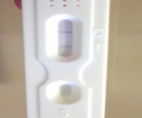 First Signal One Step Pregnancy Test, 15 Days Post Ovulation, FMU, Cycle Day 29