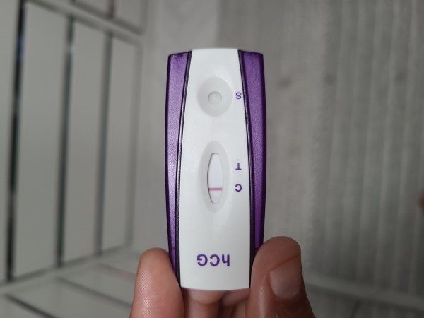 Home Pregnancy Test