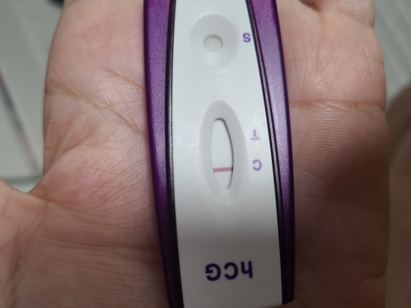 Home Pregnancy Test