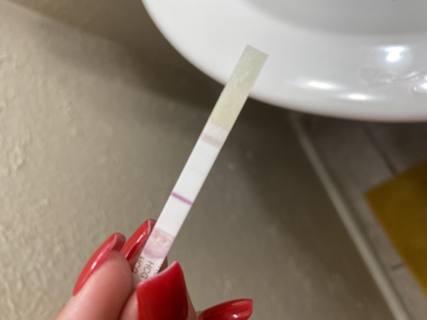 Home Pregnancy Test