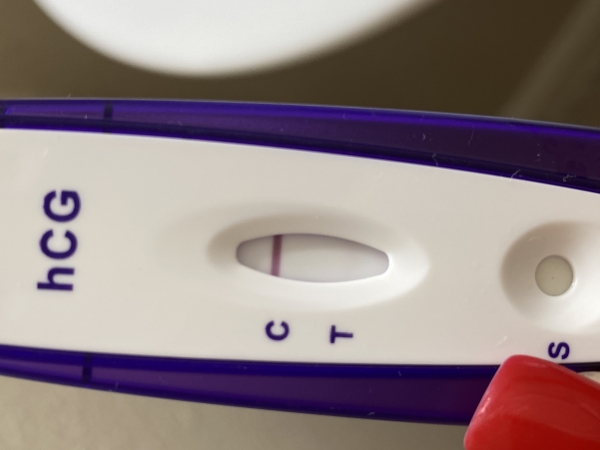 Home Pregnancy Test