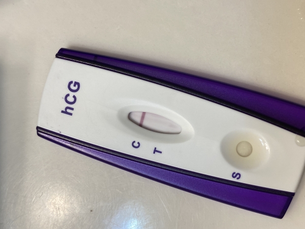 Home Pregnancy Test