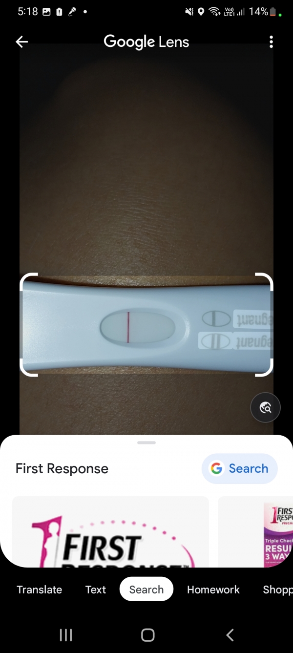 Home Pregnancy Test