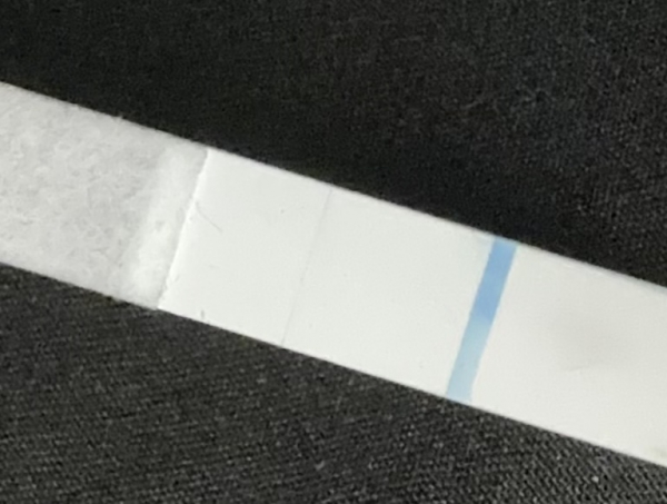 Equate One Step Pregnancy Test, 21 Days Post Ovulation, FMU