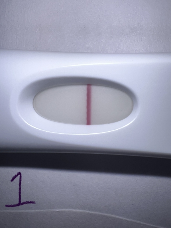 First Response Early Pregnancy Test