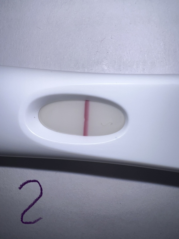 First Response Early Pregnancy Test