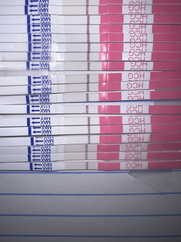 Clinical Guard Pregnancy Test