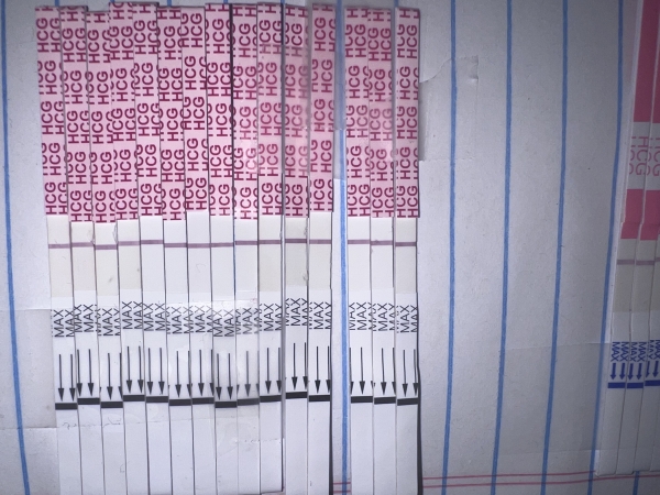 AccuMed Pregnancy Test