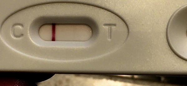 Home Pregnancy Test