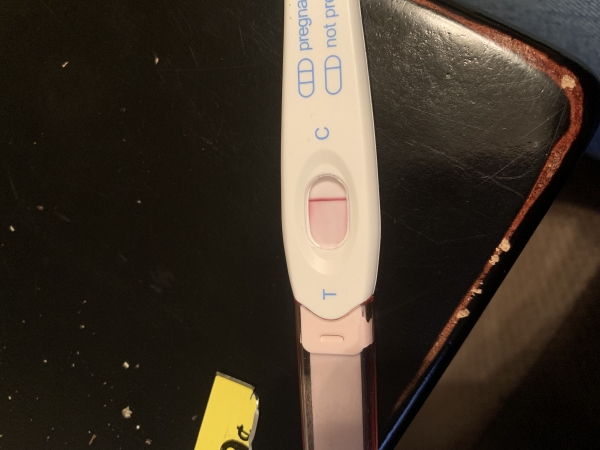 Home Pregnancy Test