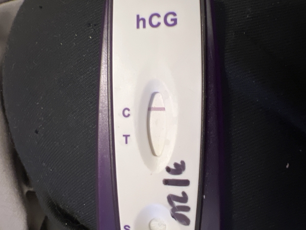 Home Pregnancy Test