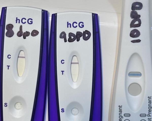 Equate One Step Pregnancy Test, 10 Days Post Ovulation