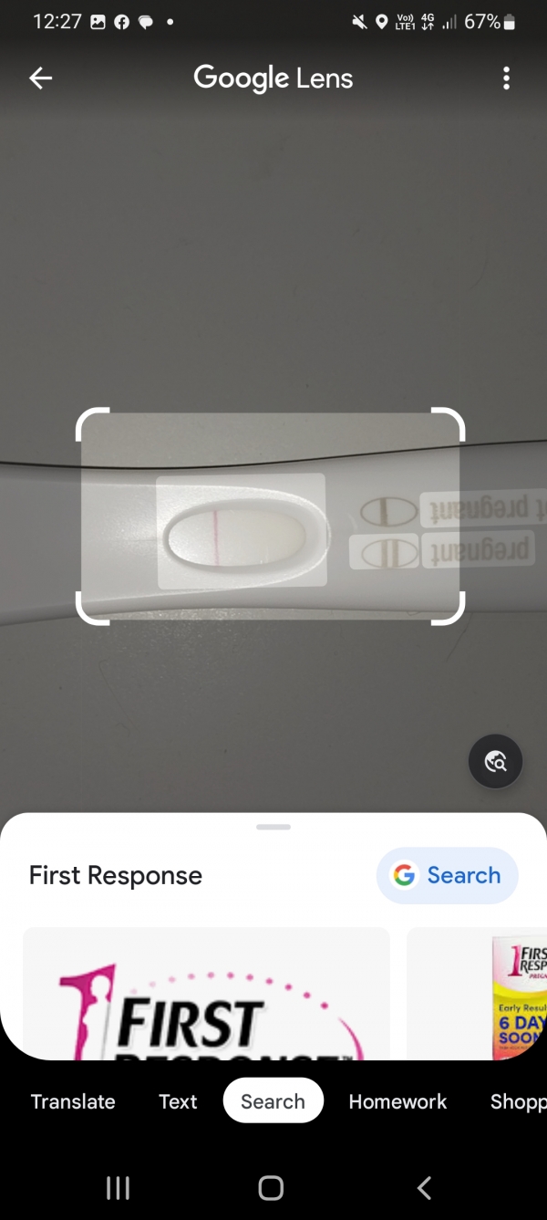 Home Pregnancy Test