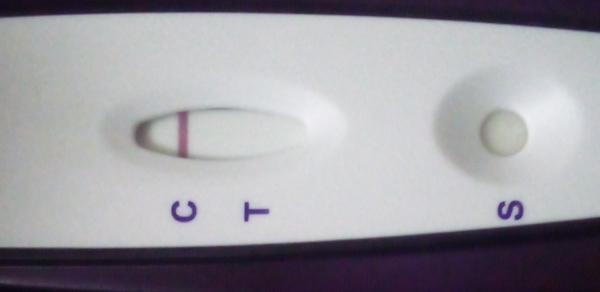 Home Pregnancy Test