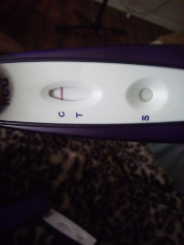 Home Pregnancy Test