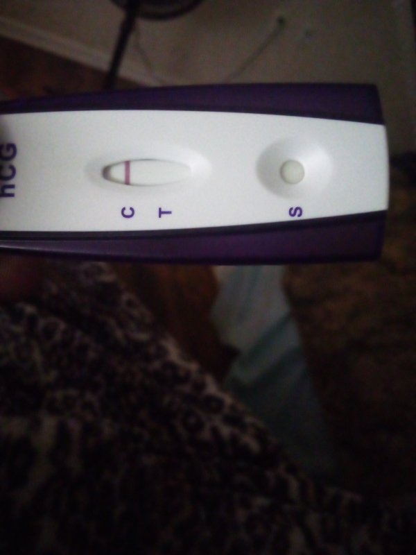 Home Pregnancy Test