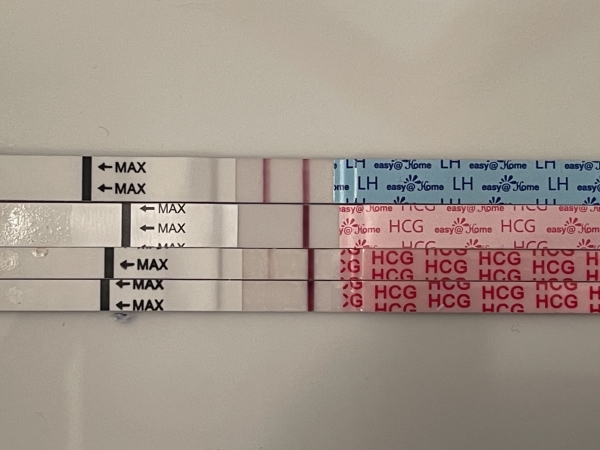 Wondfo Test Strips Pregnancy Test, 14 Days Post Ovulation