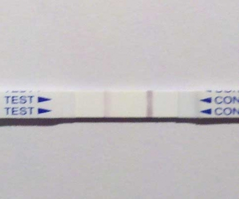 Generic Pregnancy Test, 15 Days Post Ovulation, FMU, Cycle Day 27