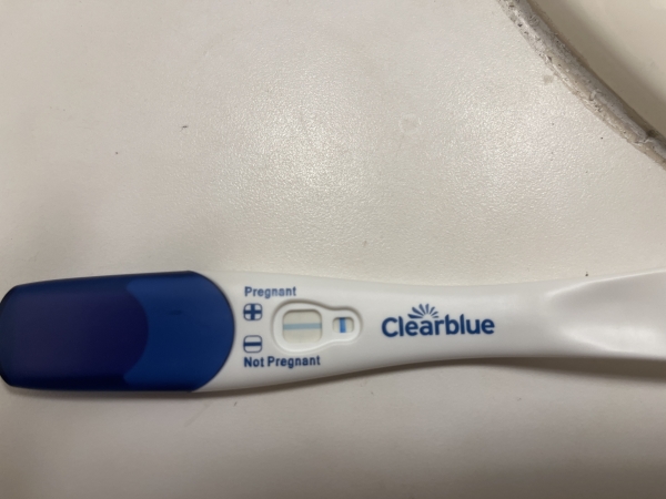 Home Pregnancy Test