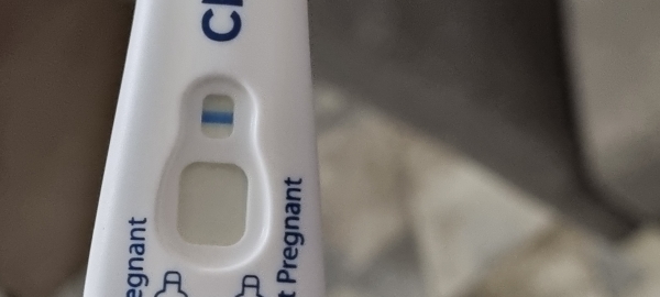 First Response Early Pregnancy Test, 13 Days Post Ovulation