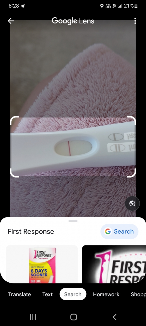 Home Pregnancy Test