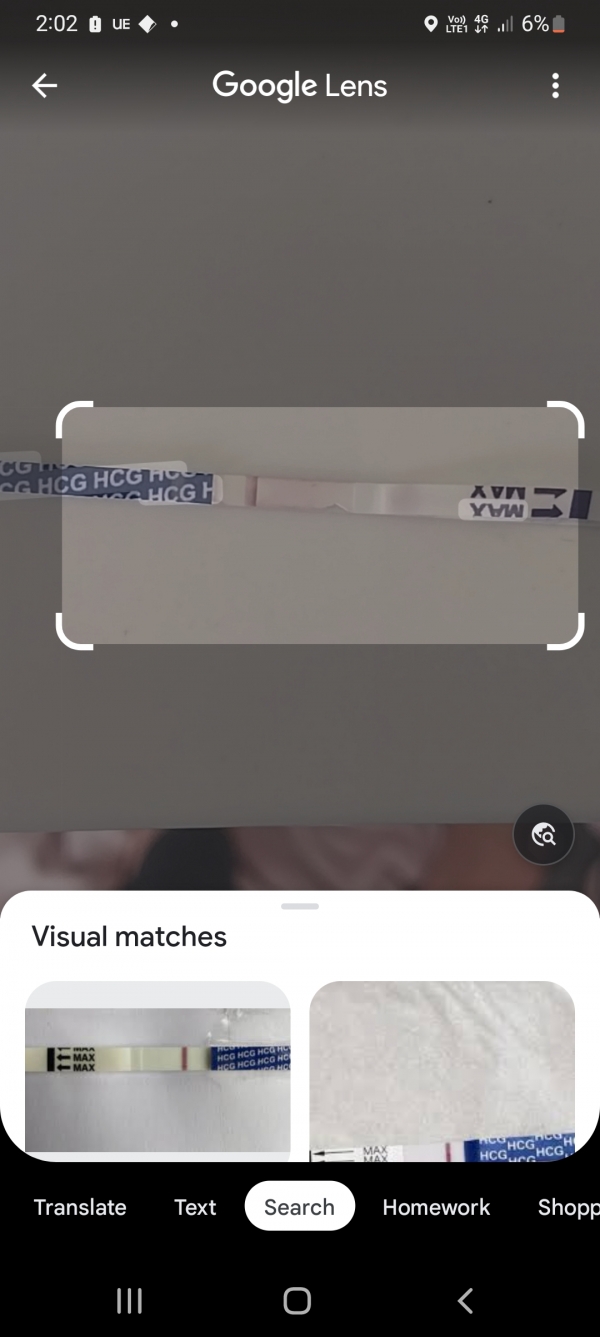 Home Pregnancy Test