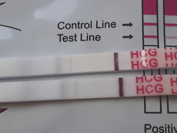 Wondfo Test Strips Pregnancy Test