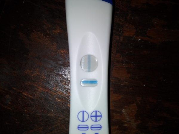 Generic Pregnancy Test