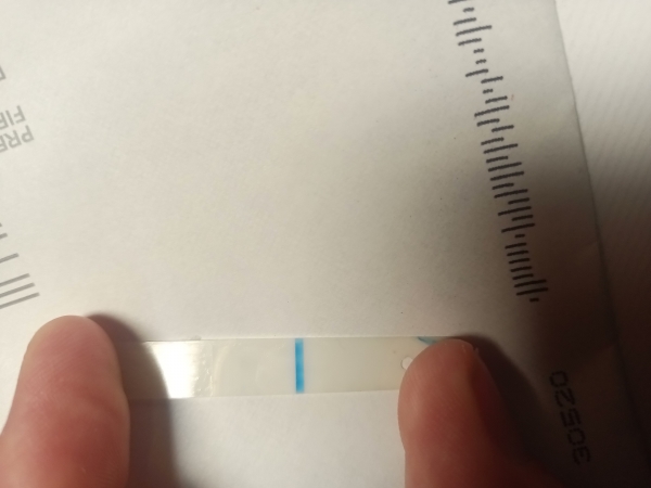 Generic Pregnancy Test, 10 Days Post Ovulation, Cycle Day 27