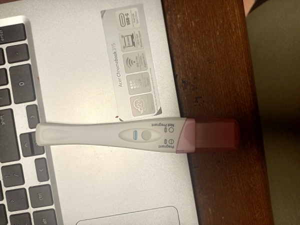 Home Pregnancy Test