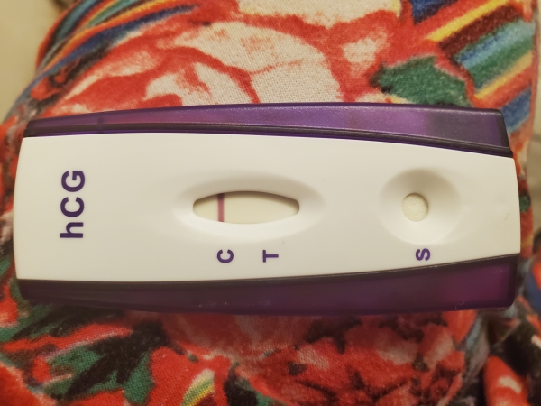 Home Pregnancy Test