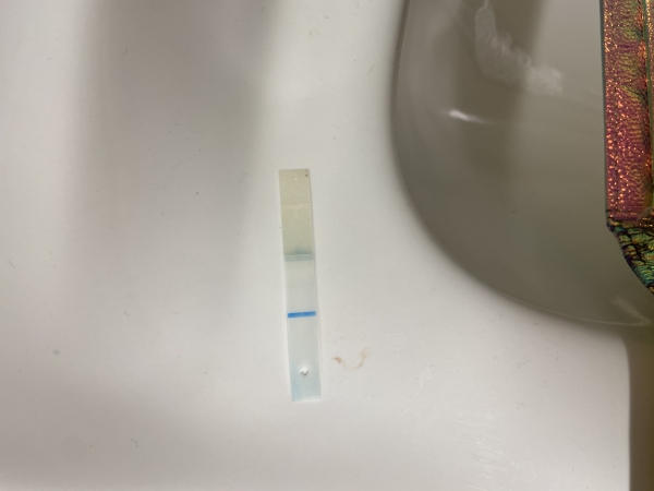 CVS Early Result Pregnancy Test