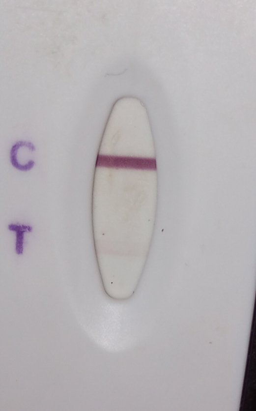Equate One Step Pregnancy Test, 6 Days Post Ovulation, Cycle Day 29