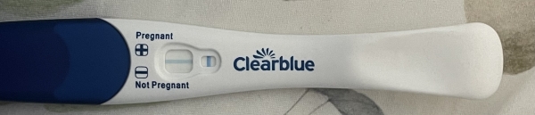 Home Pregnancy Test