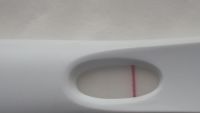 Home Pregnancy Test