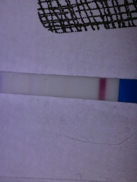 Wondfo Test Strips Pregnancy Test