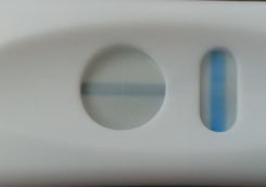 Generic Pregnancy Test