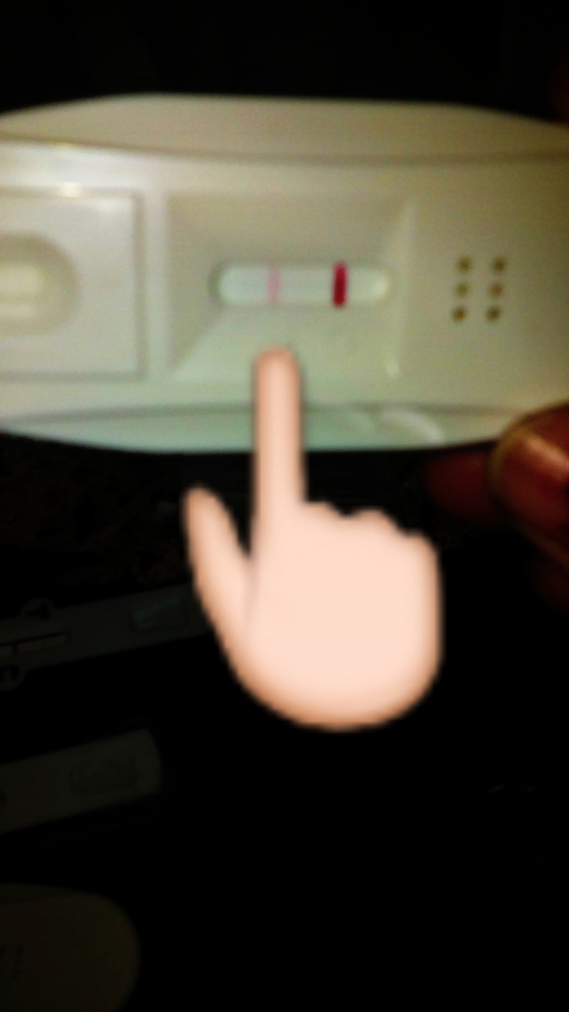 New Choice Pregnancy Test