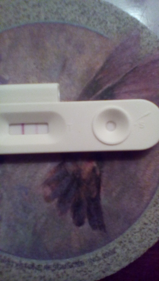 U-Check Pregnancy Test