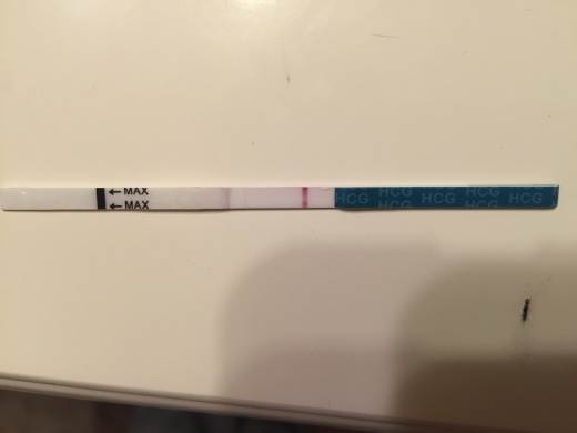 Home Pregnancy Test