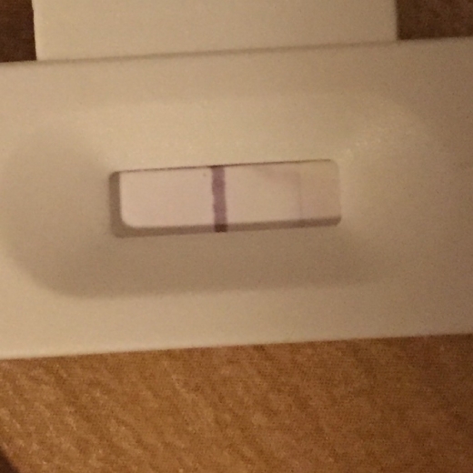 New Choice (Dollar Tree) Pregnancy Test, 12 Days Post Ovulation