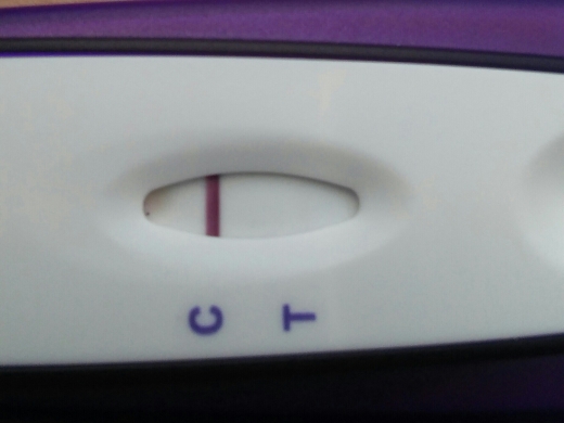 First Signal One Step Pregnancy Test, Cycle Day 44