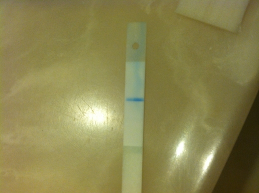 Home Pregnancy Test