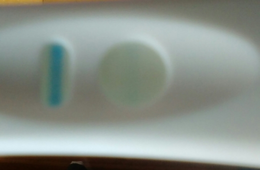 Generic Pregnancy Test, 14 Days Post Ovulation, FMU, Cycle Day 29