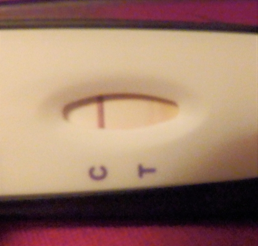 New Choice Pregnancy Test