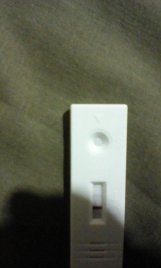 First Response Rapid Pregnancy Test