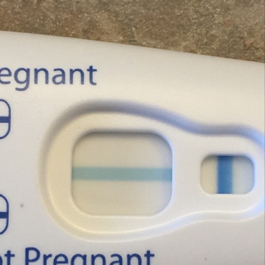 Clearblue Plus Pregnancy Test