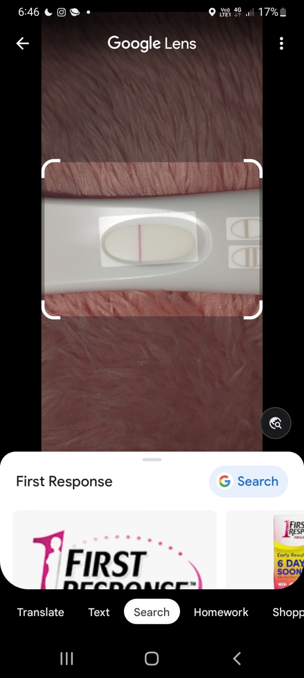 Home Pregnancy Test