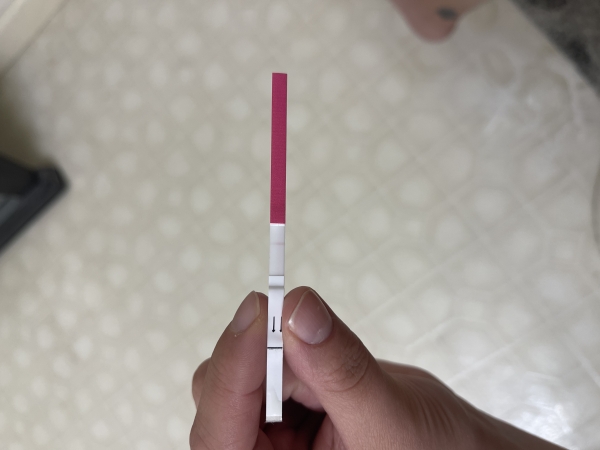 Home Pregnancy Test